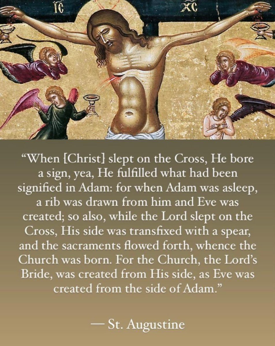 Sanothomas's tweet image. The Church was born from the side of Christ on the Cross. She is the Mystical Body of Christ, formed by the blood and water which flowed from His Sacred Heart. To be united with the Church is to be united with the redeeming work of the Savior.