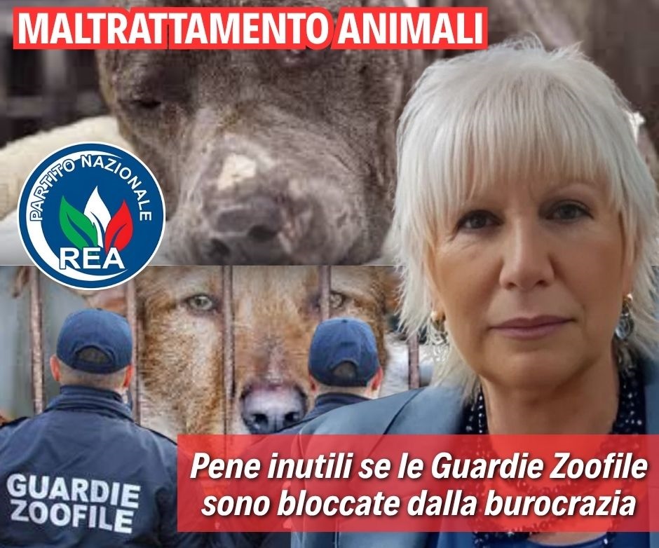 #23luglio Basta strumentalizzazione degli #animali per fini politici.  Le Guardie Zoofile, che dovrebbero appartenere ad associazioni totalmente apolitiche, sono invece limitate negli interventi da procedure interne e quant’altro.
👉rivoluzionecoanimalista.it/2025/07/23/mal…