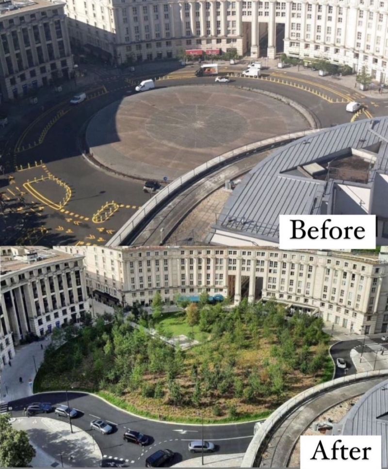 fietsprofessor's tweet image. Paris is going green — fast. In 15 years, air pollution's been cut in half, parking spots replaced with trees and parks, and streets turned into bike- and pedestrian-friendly spaces.
If cars go, urban forests can grow. 🌿
More via Scape: uitgeverijblauwdruk.nl/tijdschriften/…