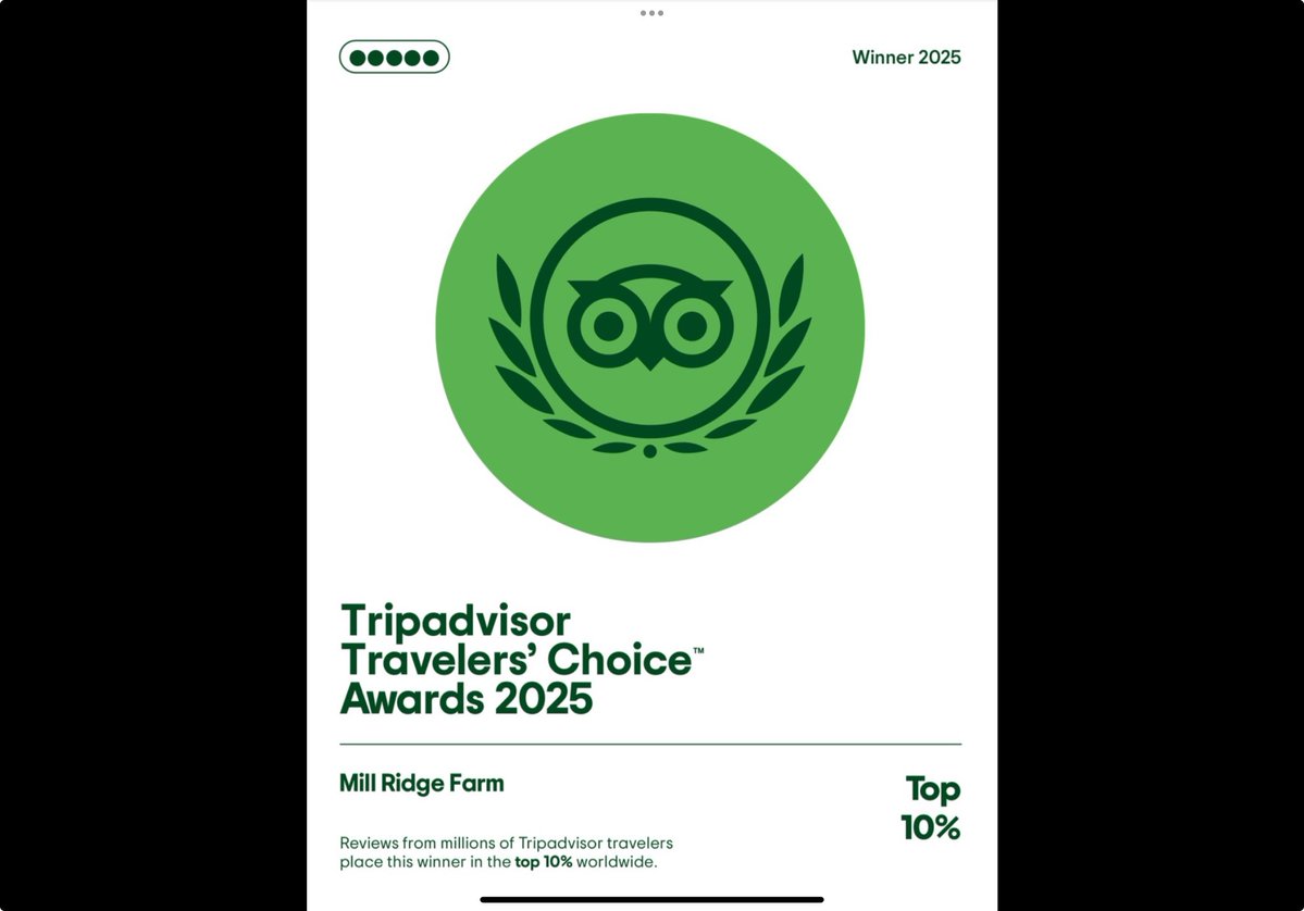 I shared this last night but worthy to share this morning..

imagine MILL RIDGE #1 Lexington experience on TRIP ADVISOR and now recognized in top 10% WORLDWIDE experience on TRIP ADVISOR..

our passionate TOUR GUIDES.. share our story

ALICE CHANDLER