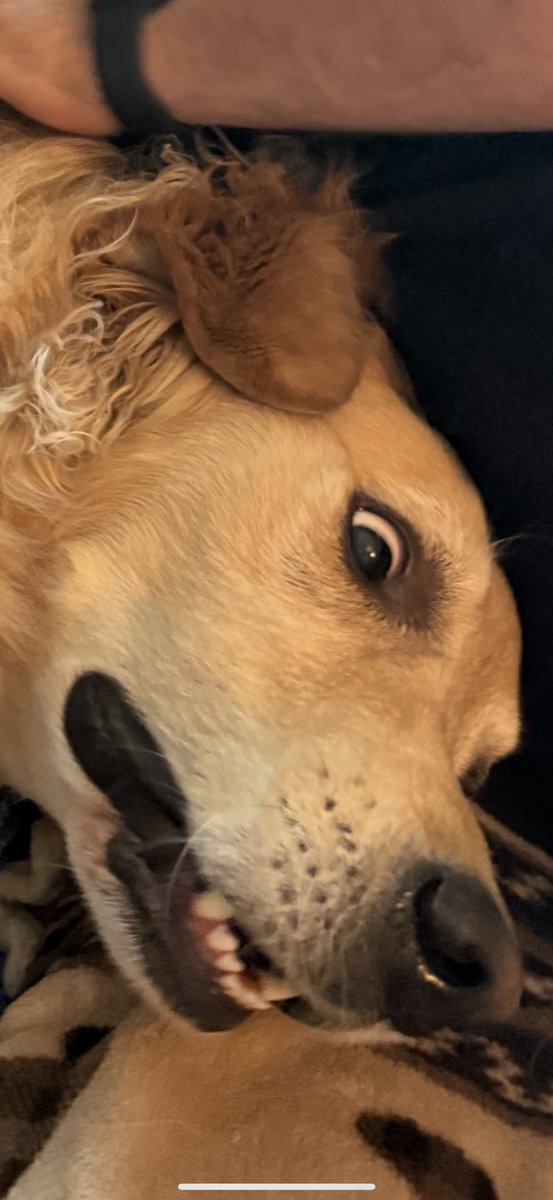 Let’s go to Costco on a Saturday? 
My face: