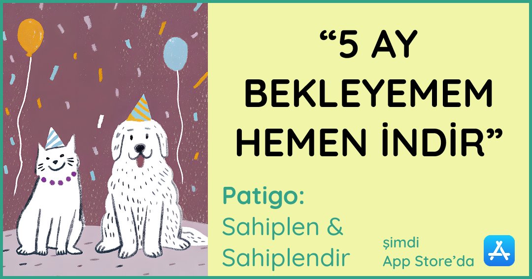 onuriart's tweet photo. @MTurkan14627 merhaba, kedi ve köpek sahiplendirme ilanlarını daha düzenli ve topluluklara görünür kılmak için iOS'ta Patigo adında bir topluluk platformu kurduk. ilan açıp başvuru toplayabiliyorsunuz. ileride işinize yarar diye bırakıyorum. app store’da Patigo diye aratabilirsiniz🐾🙏 🩵 https://t.co/zDoj4lXNOy