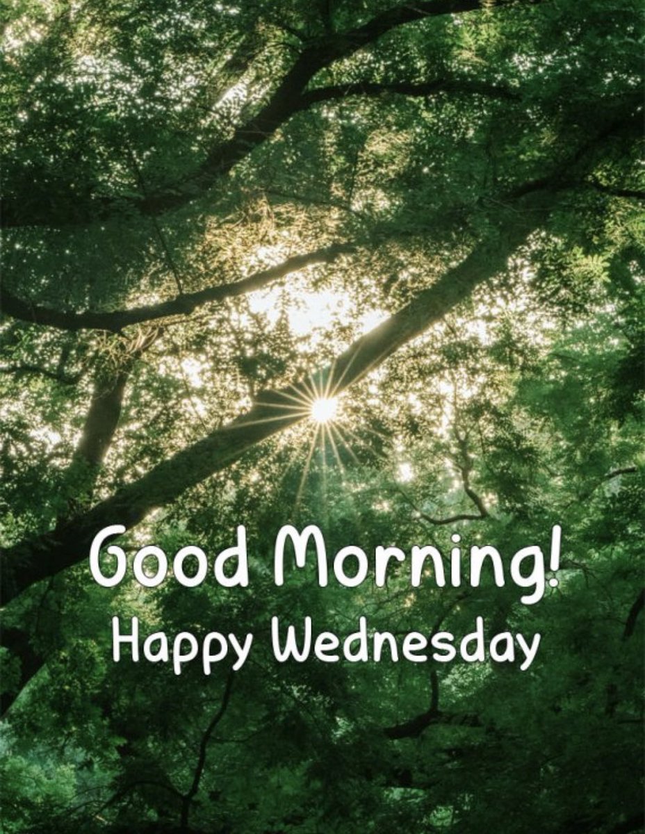 NitaSunshine123's tweet image. It is a Happy Wednesday because I chose it to be. I will be offline all morning and will reply later.