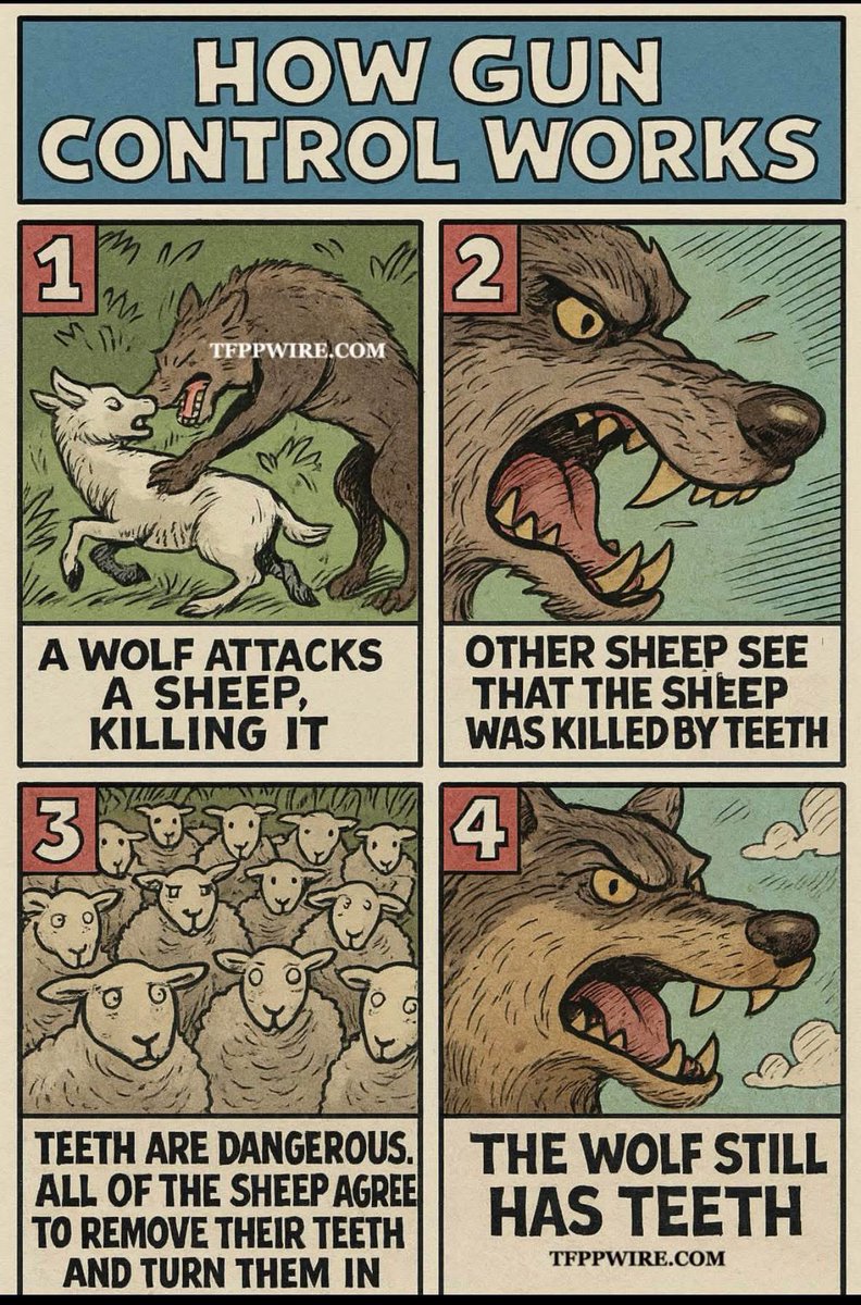 AlBuffalo2nite's tweet image. This image is a powerful metaphor.
It exposes the flawed logic behind disarming law-abiding citizens (the sheep) in response to violence committed by the lawless (the wolf).
The message is clear… Gun control doesn’t disarm the predators… it only weakens the prey.
The wolf…