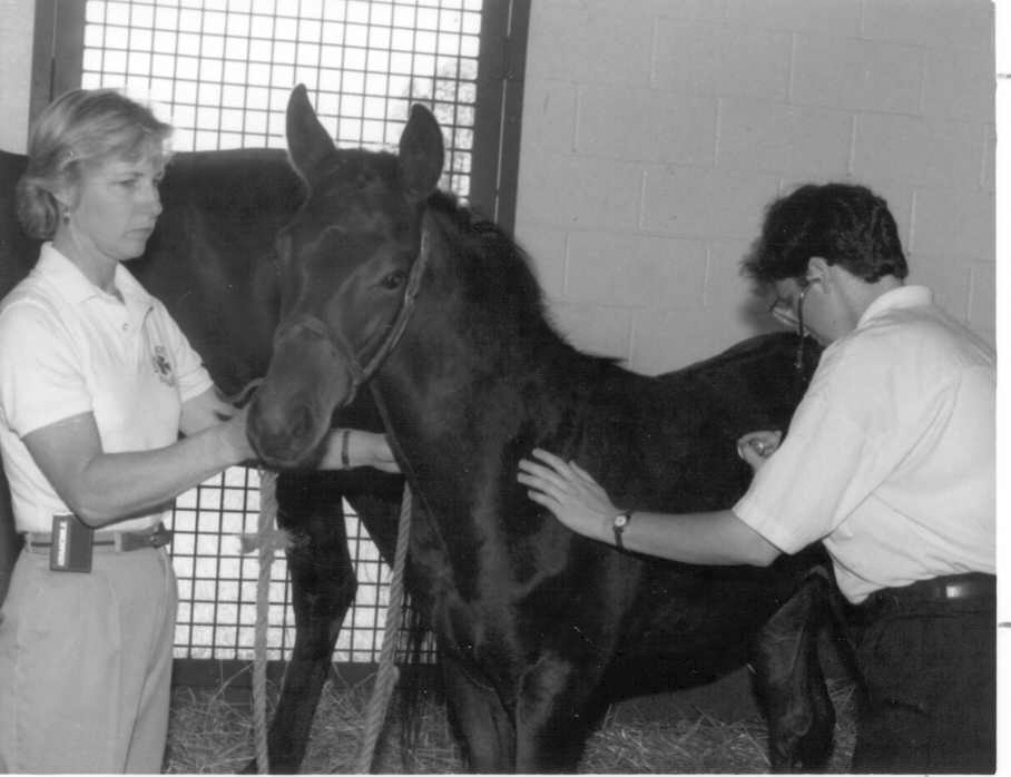 Grayson_JC's tweet image. Today’s the day! 💥 🐴🐎🏇
Every donation to @BreedersCup Charities will be matched up to $100K!
Let’s make a real impact!
Support equine research and donate now → breederscup.com/charities