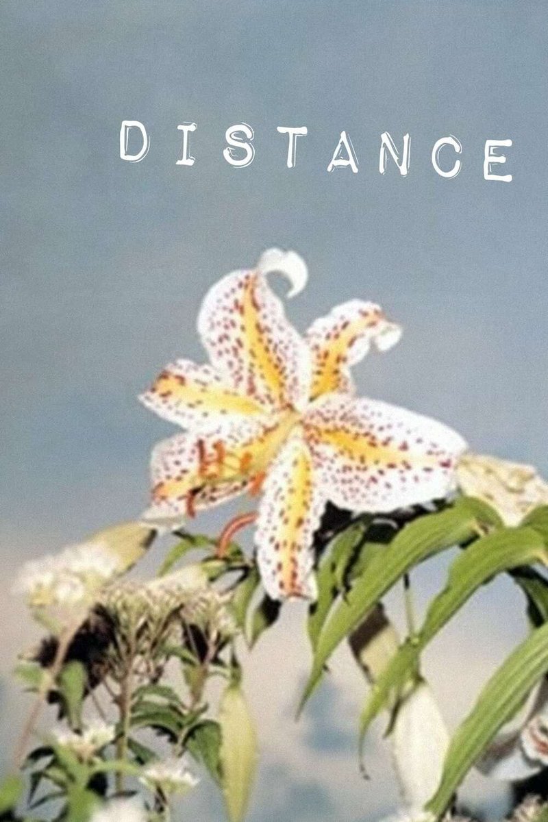 ScroogeMcDrive's tweet image. Distance/ ディスタンス (2001)
eng subs

Hirokazu Kore-eda
swisstransfer.com/d/0308ed1a-58c…