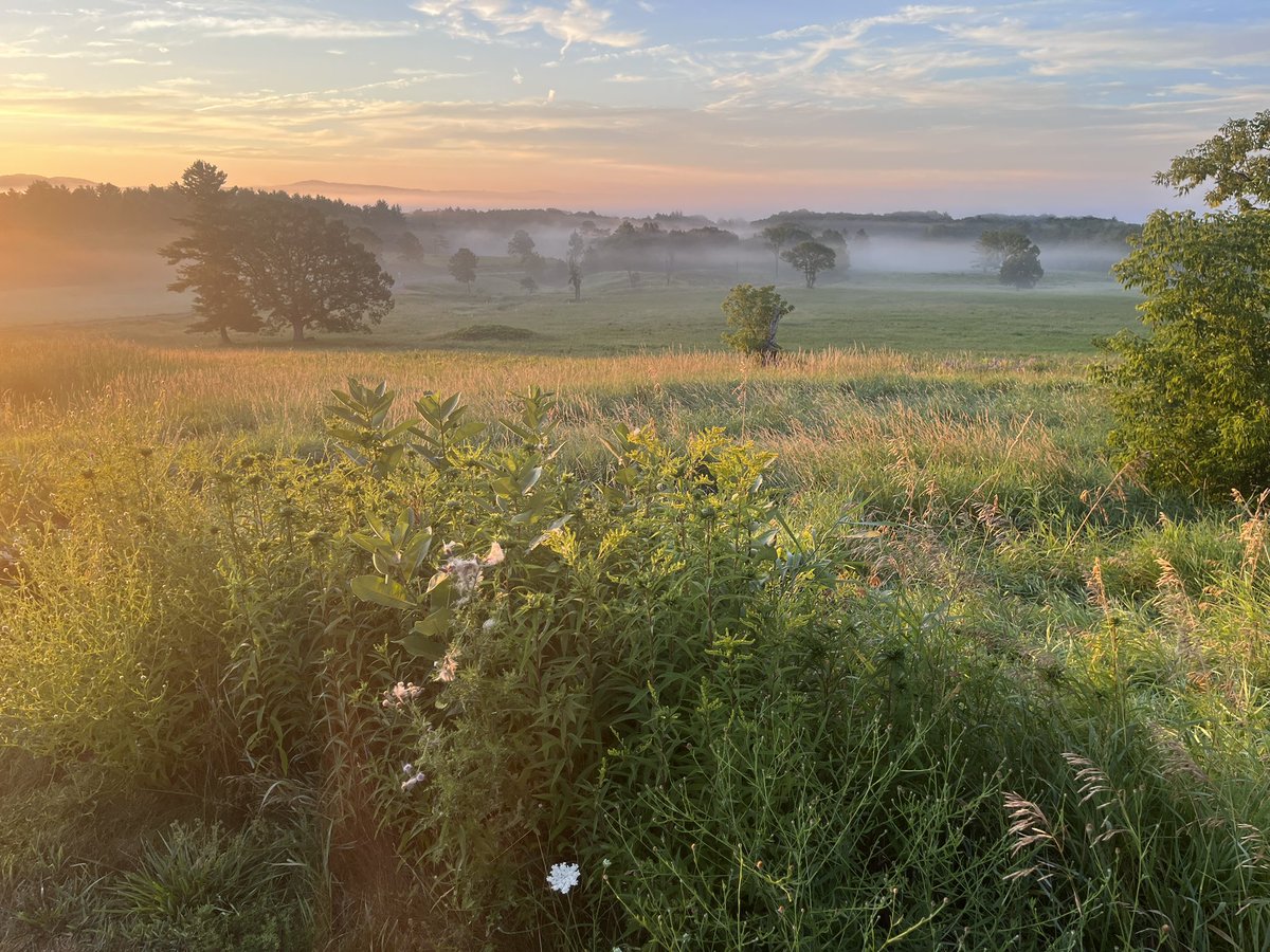 HistorySaratoga's tweet image. “What a glorious morning for America!”
—Samuel Adams, 1775
Today’s walk at Saratoga Battlefield echoed that sentiment. Cool breeze, golden hour light.
On this day in 1777, Burgoyne was left unsupported.
The rest is Revolution.
#saratoga250 #americasturningpoint
