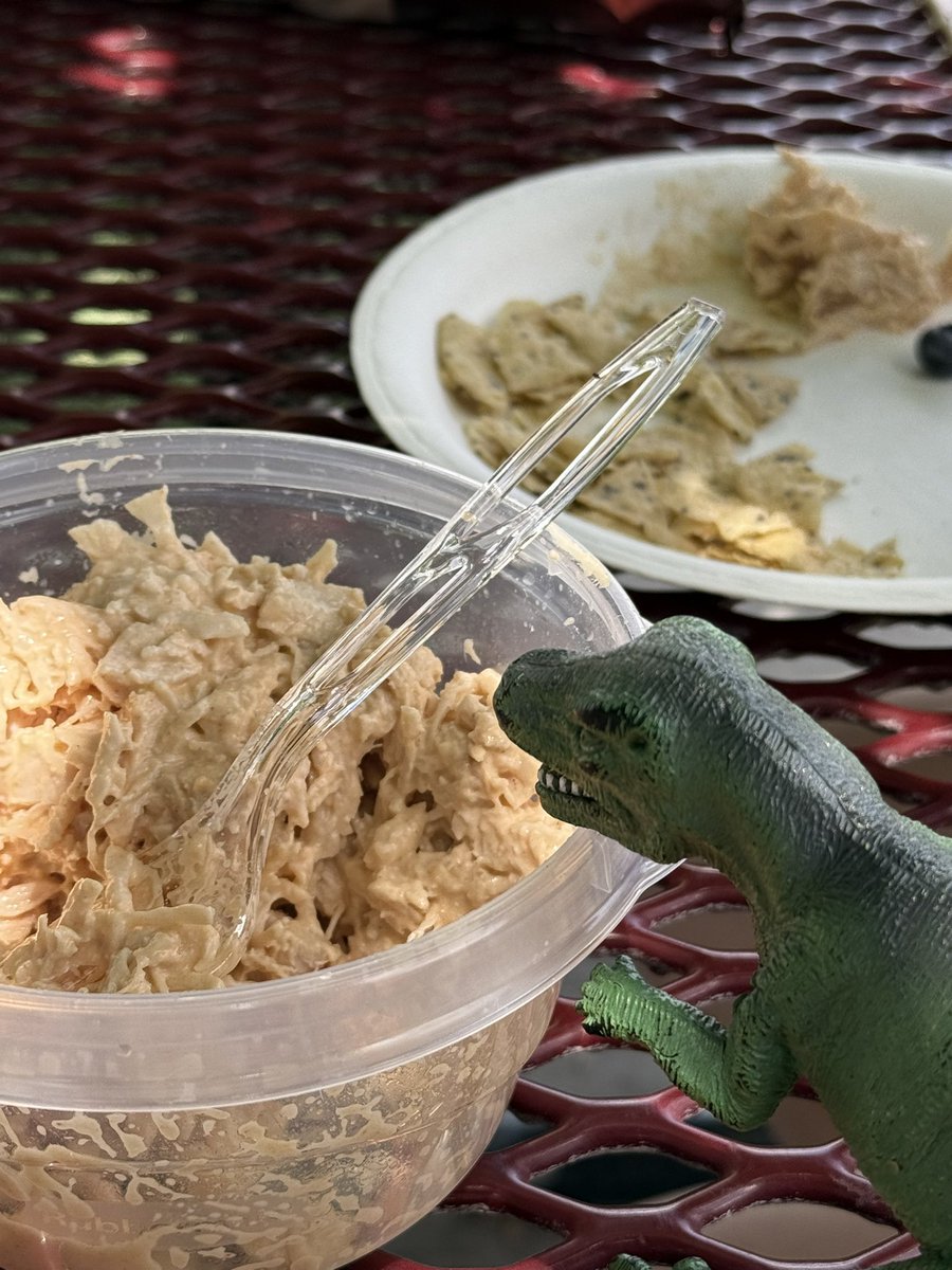 SupMarioBro's tweet image. Driving up to the Grand Teton National Park with the family.
A gorgeous drive and a few animals we saw along the way!
Sharptooth is well traveled thanks to my son.
- hummingbird in a nest is so cool and incognito!