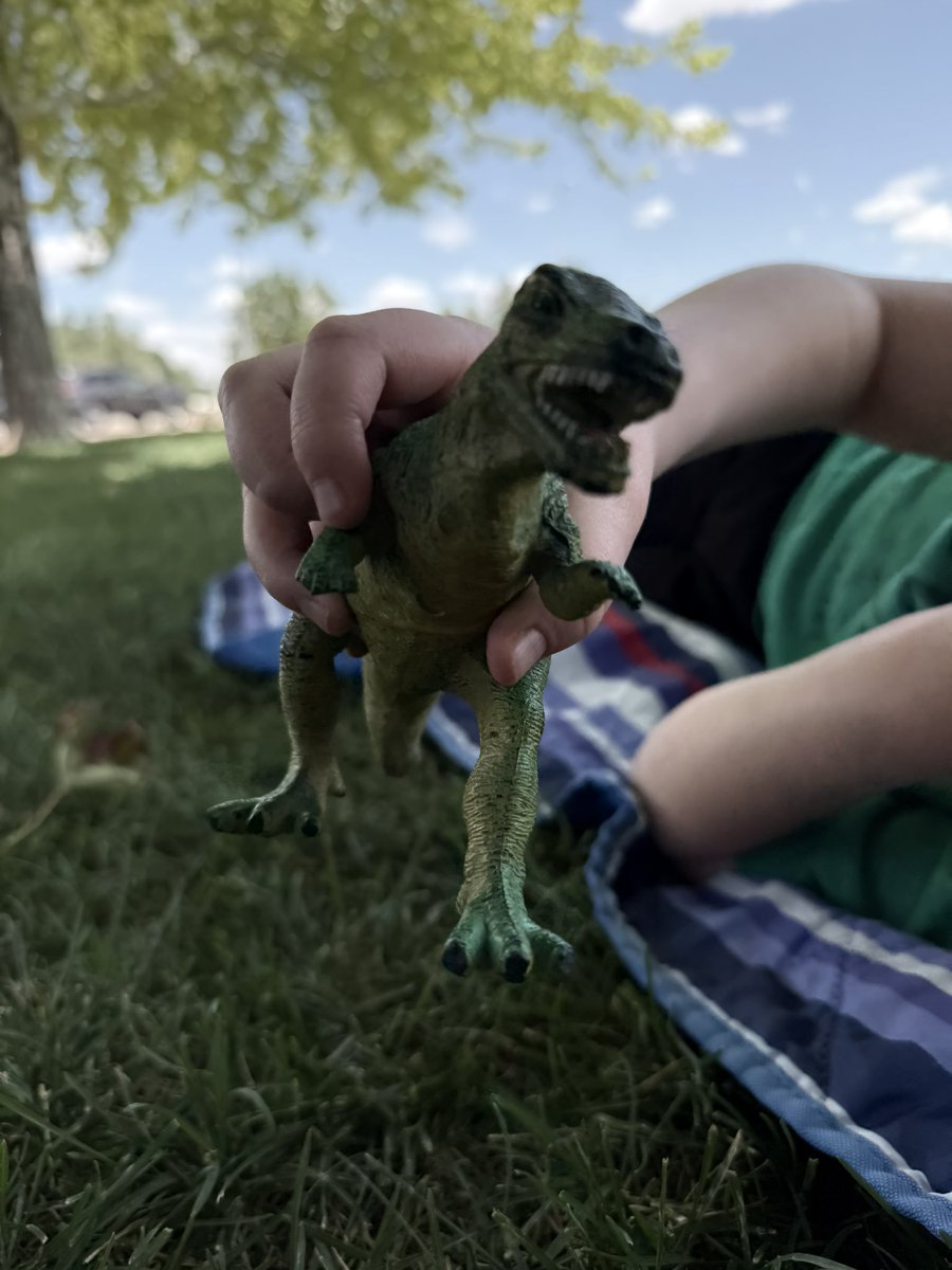 SupMarioBro's tweet image. Driving up to the Grand Teton National Park with the family.
A gorgeous drive and a few animals we saw along the way!
Sharptooth is well traveled thanks to my son.
- hummingbird in a nest is so cool and incognito!