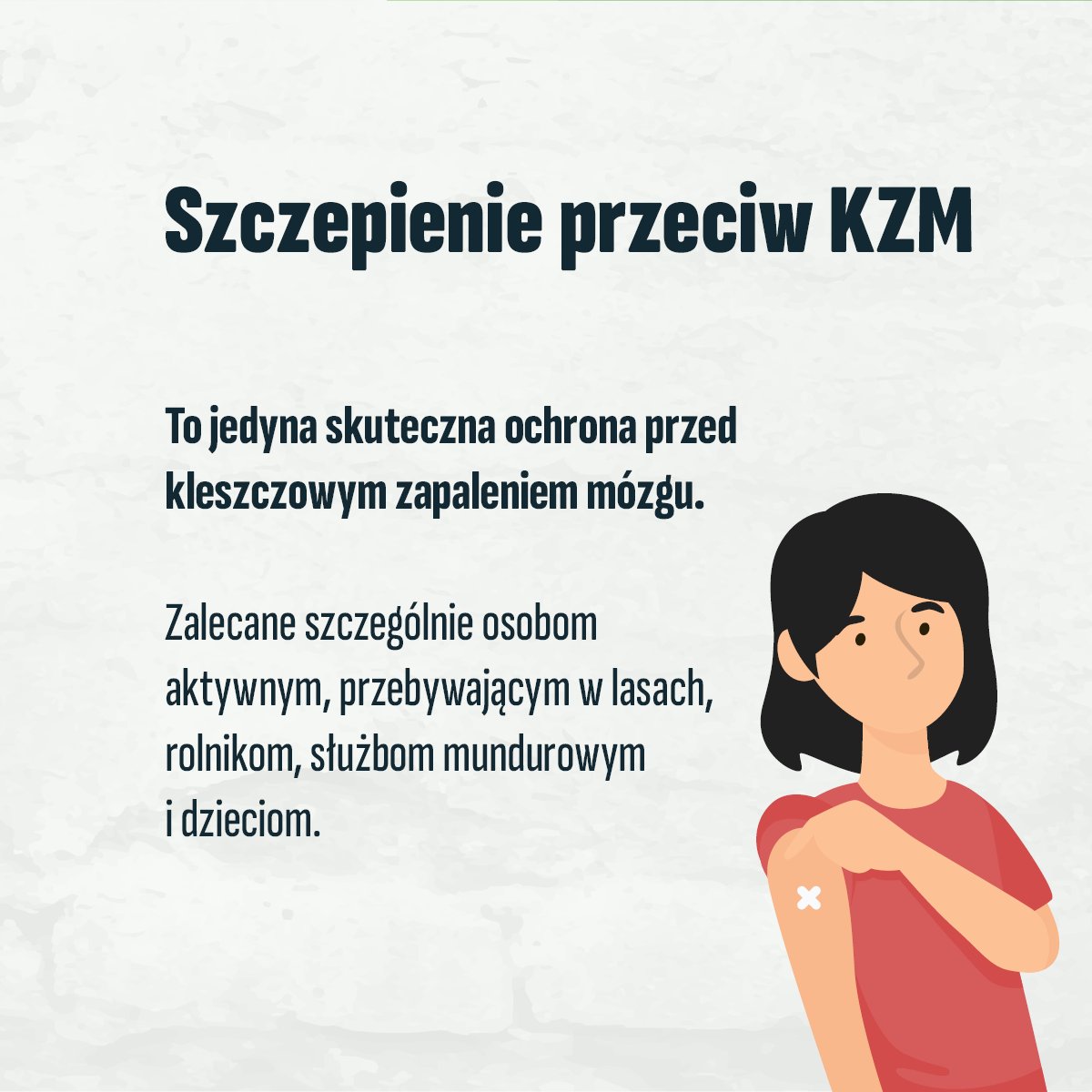 GIS_gov's tweet image. Z powodu ocieplenia klimatu🔥kleszcze są aktywne niemal cały rok. Jednak najbardziej aktywne są wiosną oraz w okresie letnim i wczesnojesiennym. Bytują głównie w wilgotnych lasach liściastych i mieszanych. 🌳🌿Można je spotkać również w parkach, na skwerach miejskich.