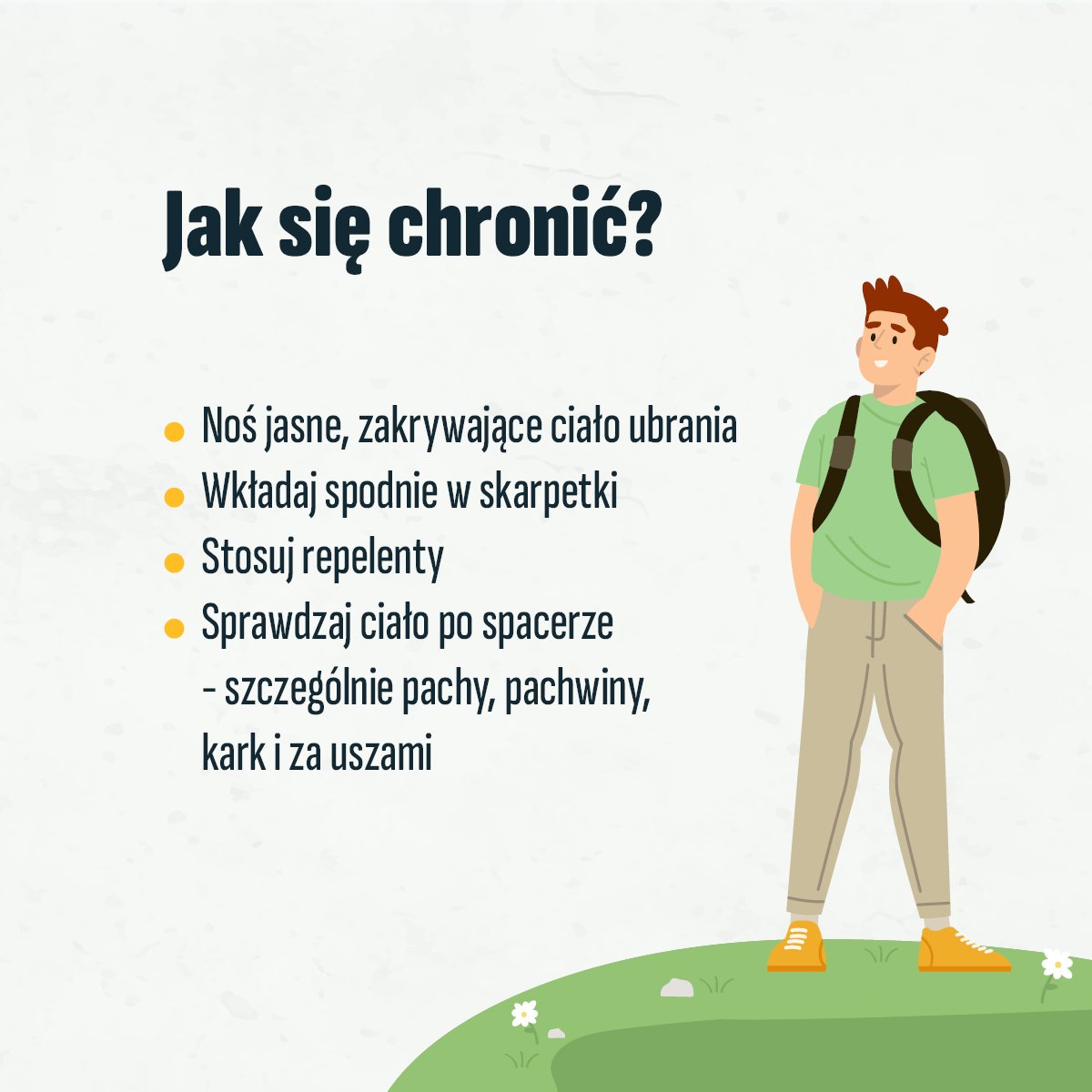 GIS_gov's tweet image. Z powodu ocieplenia klimatu🔥kleszcze są aktywne niemal cały rok. Jednak najbardziej aktywne są wiosną oraz w okresie letnim i wczesnojesiennym. Bytują głównie w wilgotnych lasach liściastych i mieszanych. 🌳🌿Można je spotkać również w parkach, na skwerach miejskich.