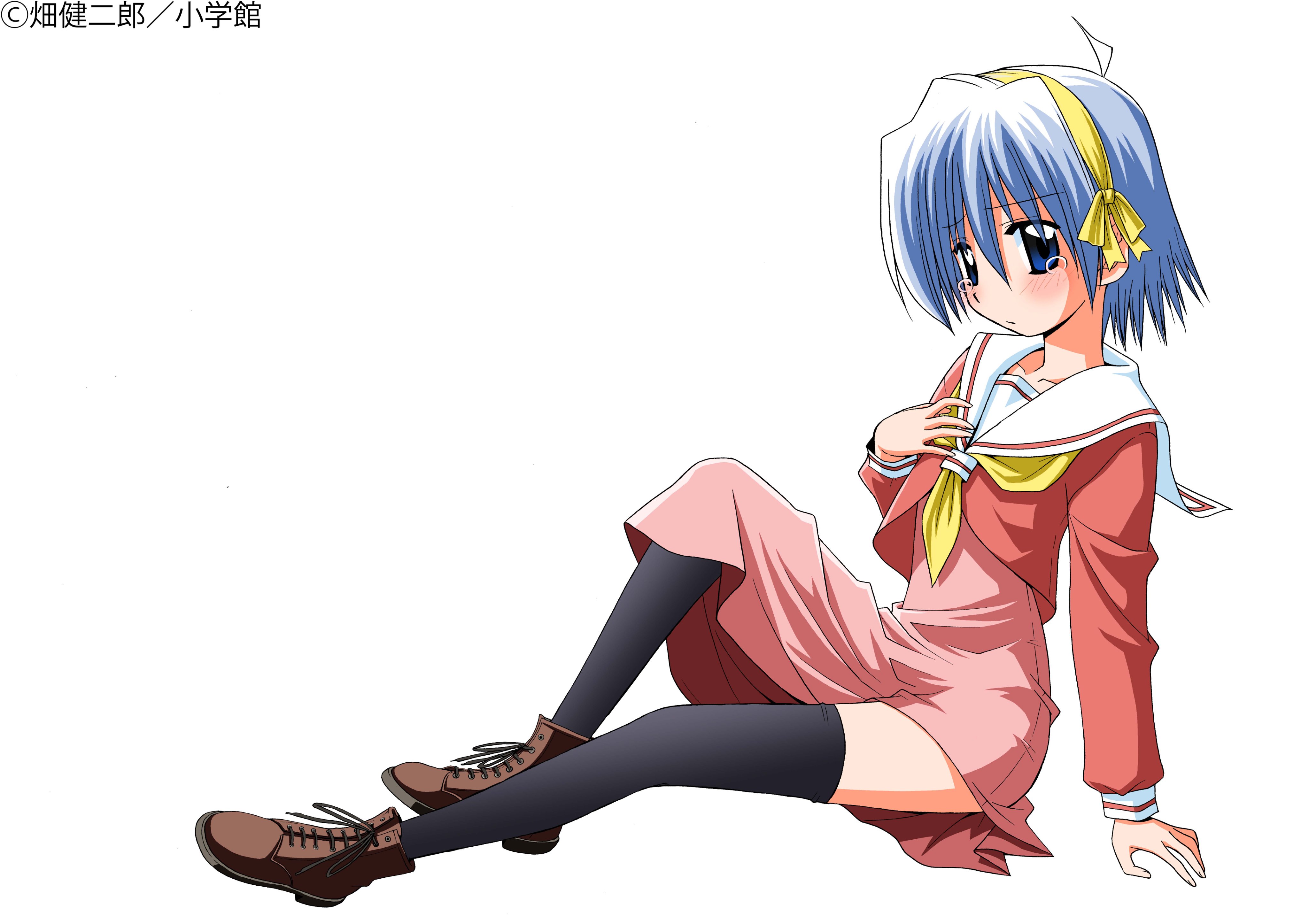 ハヤテのごとく！』✕『トニカワ』複製原画 【公式通販】