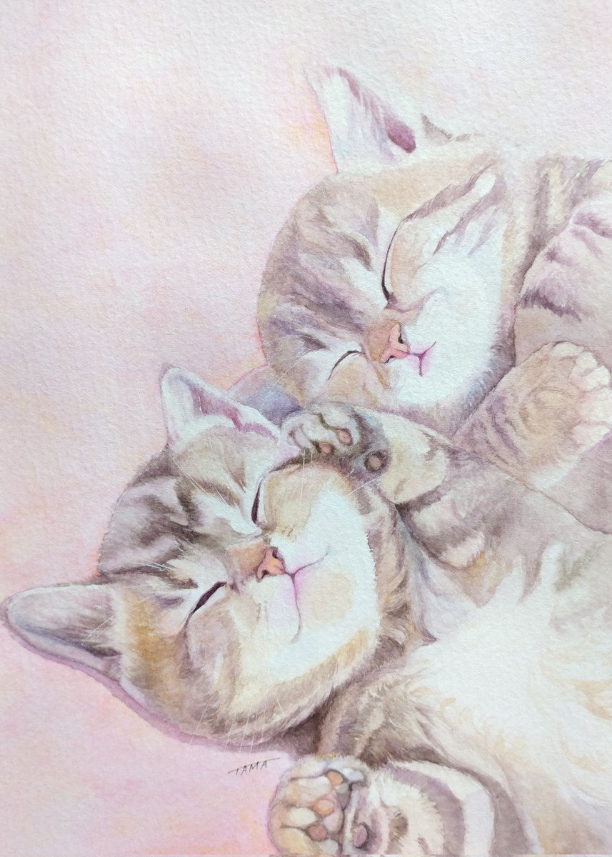 ritorutama's tweet image. #かわいいと思う画像をなんでもいいので無言で1枚あげろ