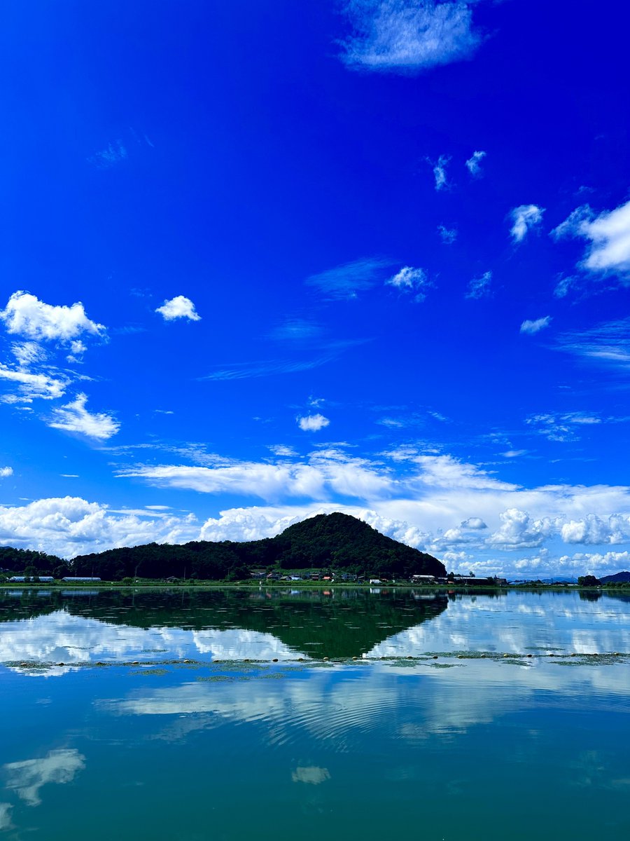 Hoeng_K's tweet image. 