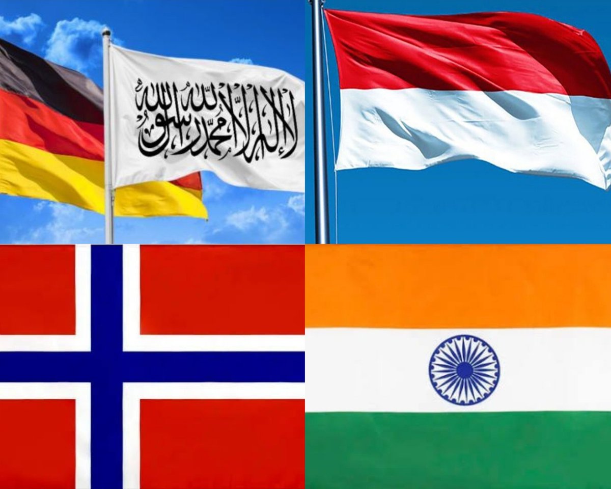 rahim_sekander's tweet image. د فتوحاتو لړۍ👋
له جرمني روسته هند، ناروې او اندونیزیا ته هم یارانو تازه ډیپلوماټان ورولیږل.
دیګه خدمتان؟