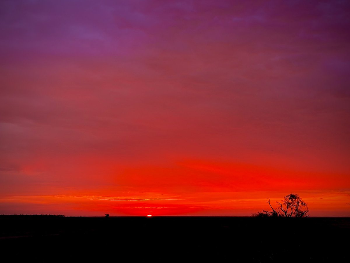 BryanDMcNally's tweet image. From darkness to light… Texas mornings are truly amazing!
This is all within 10 minutes while sippin’ coffee.