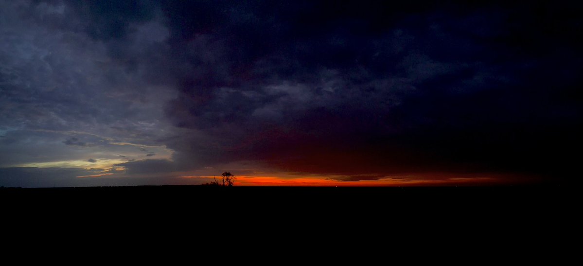 BryanDMcNally's tweet image. From darkness to light… Texas mornings are truly amazing!
This is all within 10 minutes while sippin’ coffee.