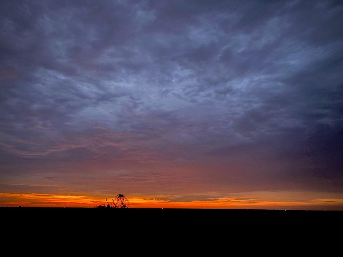 BryanDMcNally's tweet image. From darkness to light… Texas mornings are truly amazing!
This is all within 10 minutes while sippin’ coffee.