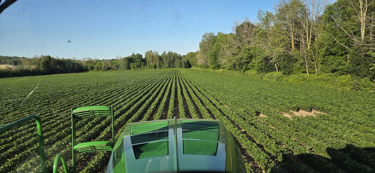 Even an organic farm needs to see a sprayer every once in a while