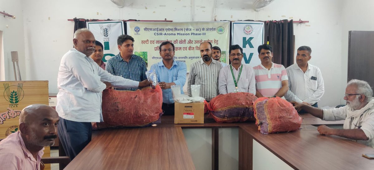 csirnbrilko's tweet image. 🚜🌿 Under @CsirAroma NBRI organized a training program for 45 farmers at KVK Katiya, Sitapur on 23 Jul 25.
Experts shared insights on turmeric & Nagarmotha cultivation🌱✨
100 kg Nagarmotha rhizomes + PSB biofertilizer were distributed to beneficiaries.💪🌾
@akshasany