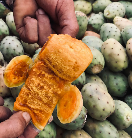 FikreJesus's tweet image. 🇪🇷🌵🍐😋