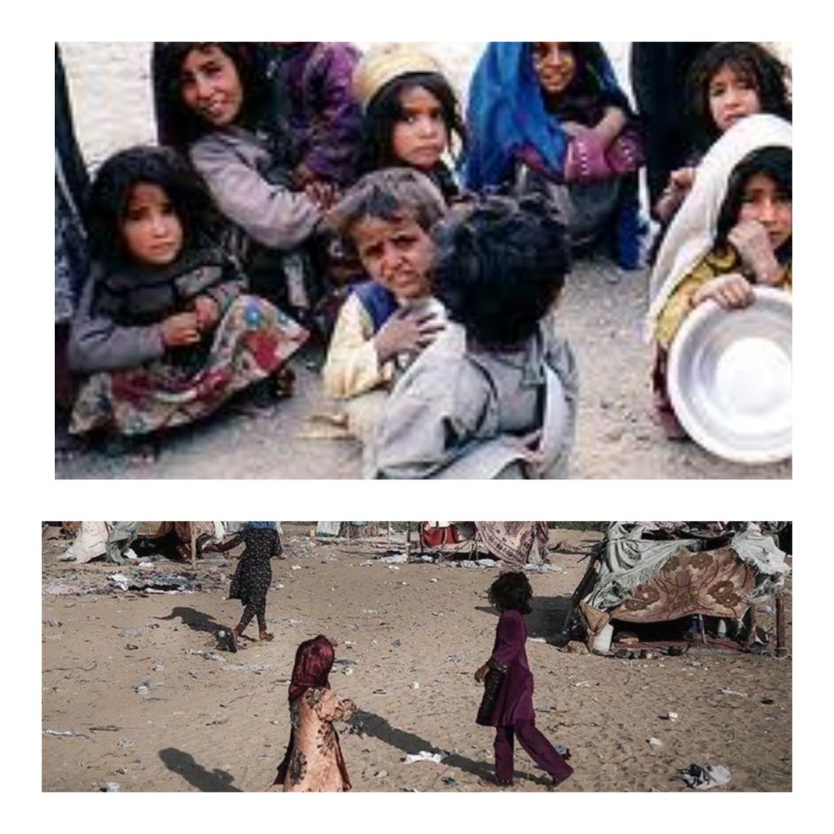 Al_Pa_Vi's tweet image. خبرگزاری مهر، رسانه وابسته به حکومت تیتر زده بود که «کودکان سیستان و بلوچستان از سوءتغذیه رنج میبرن.»
اینکه اوضاع هموطنانتان این باشه و تو به فکر گرسنگی مردم غزه باشی جز بیشرف و بی وطن اسم دیگه ای ندارید.