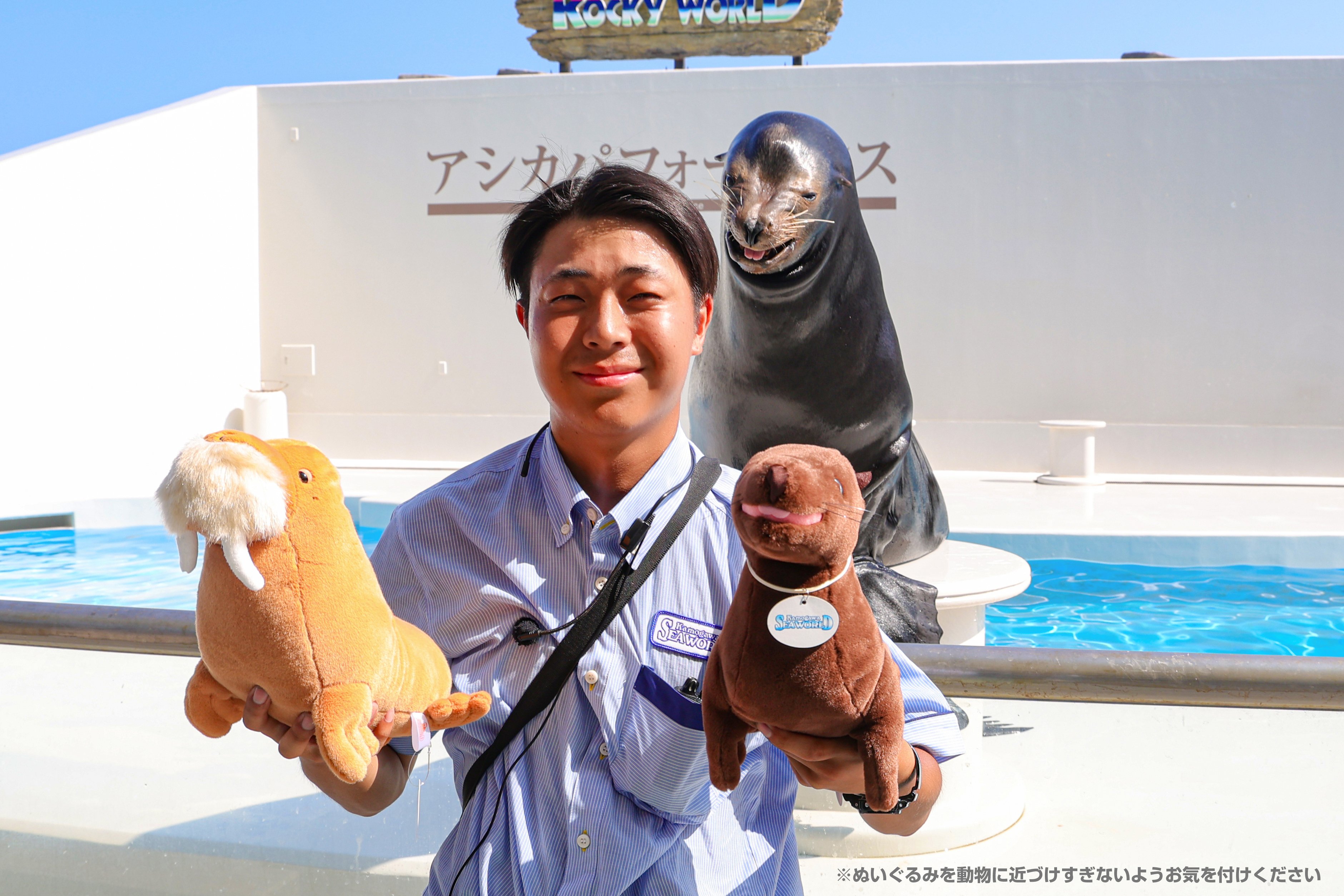 ミナコ カワウチ 【チワワ】版画　シルクスクリーン ミナコ カワウチ 【チワワ】版画 シルクスクリーン 楽天市場