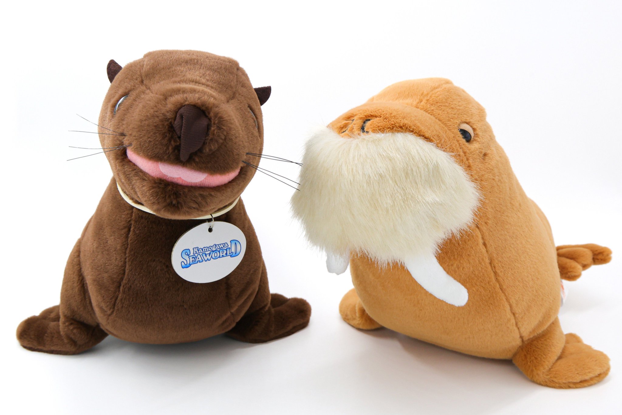 笑う動物たち 鴨川シーワールド【公式】 on X: 