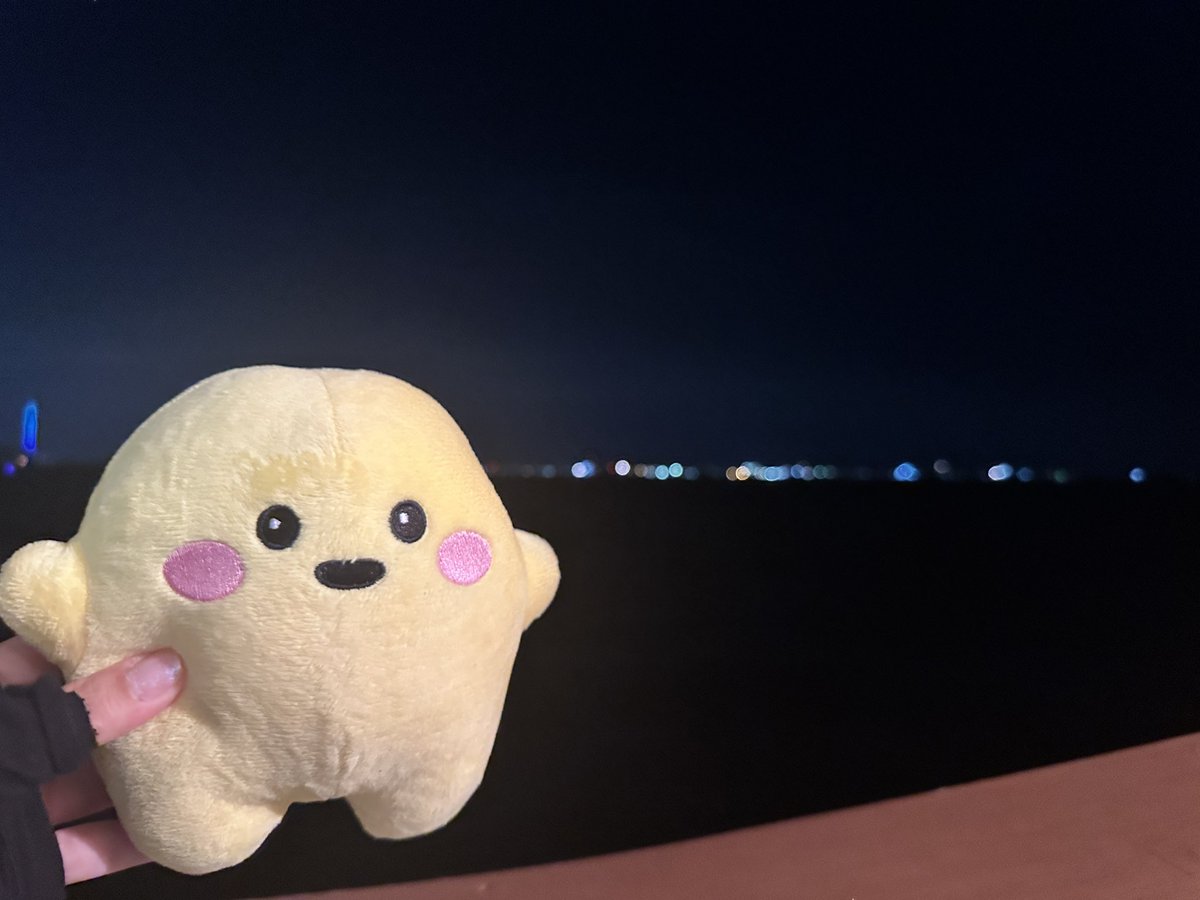 circularchan's tweet image. サンタマリア🚢からの花火🎇ですが
花火目当てのプレジャーボート🚤が
周辺に沢山いるので
安全を確認しながらの航行になります🚢
船員さん曰く、荒っぽい操縦のボートもかなりいるようで
予定通りの航路、時間で進めないこともあるそう😔…