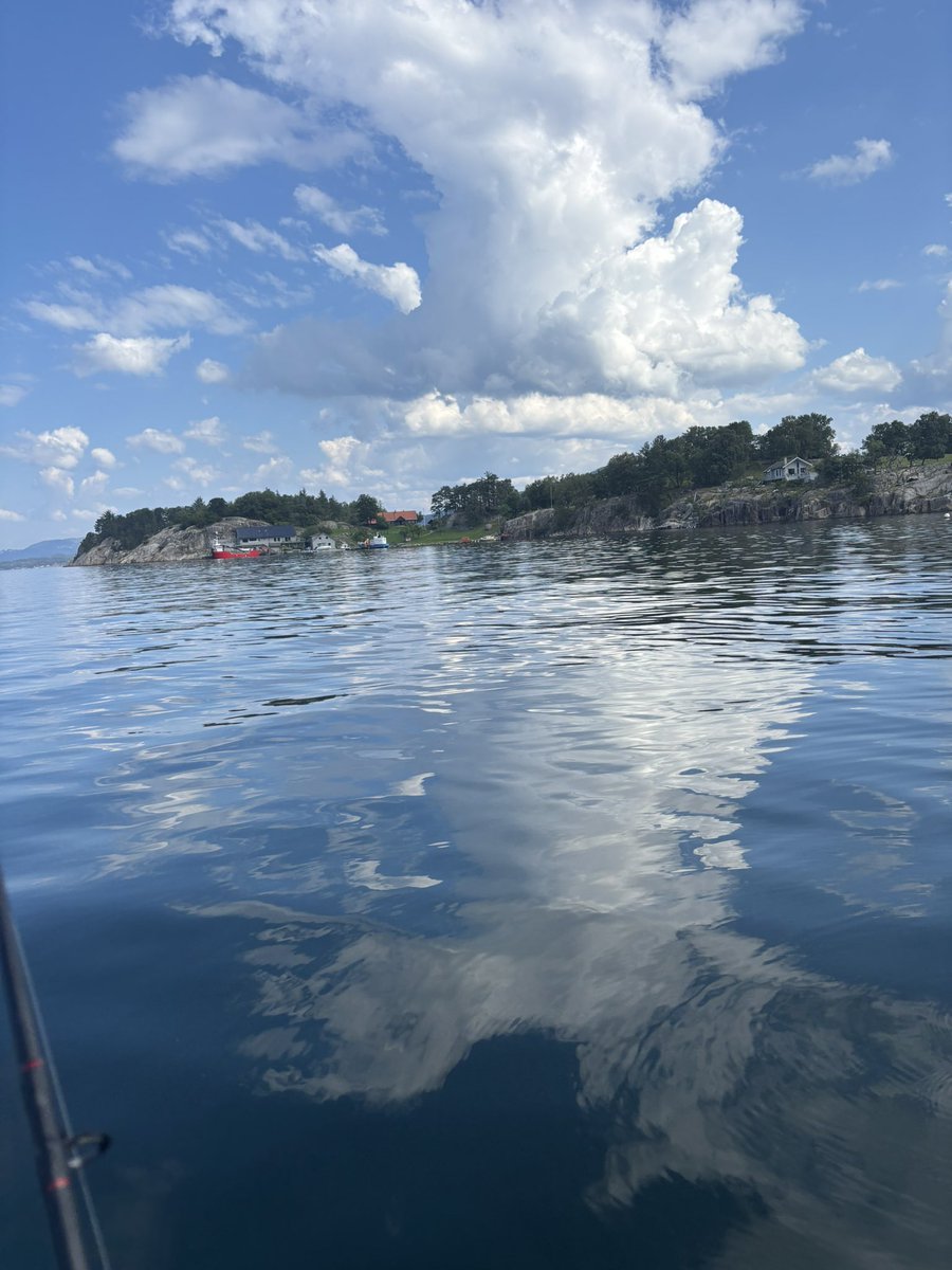 Better fishing 🎣 today, cabin life #Norway 🇳🇴
