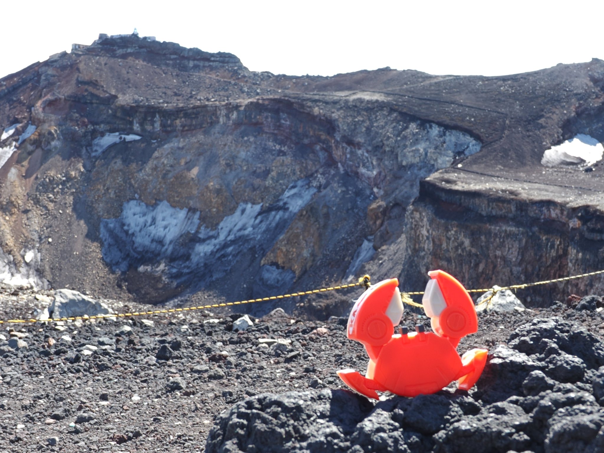 マカロニ富士山　まとめ売り ギフト 春吉富士 12個入り のし可 送料別 富士山羊羹 ようかん