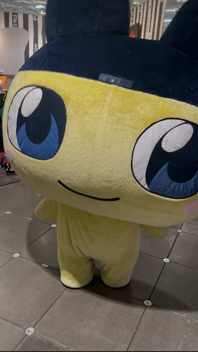 Tama_ll11's tweet image. この前の有楽町(左)と原宿(右)でお顔違うの写真見返して気づいた〜〜目がリニューアルされてるよね?🥹🥹
でもやっぱり私が好きなのは右のまめっち🥹🥹🩷