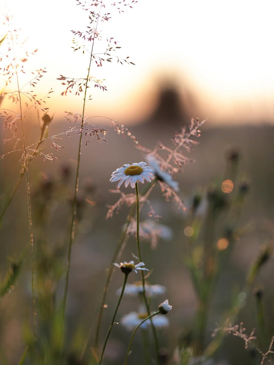 “The only choice we have is in how we respond 
in each precious moment we are given.”

~ James R. Doty, 𝐼𝑛𝑡𝑜 𝑡ℎ𝑒 𝑀𝑎𝑔𝑖𝑐 𝑆ℎ𝑜𝑝
Dec. 1, 1955–July 17, 2025
·

RIP🤍