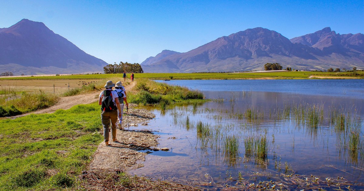 Did you know you can walk your way through Tulbagh’s wine valley?

The Tulbagh Wine Walk is a relaxed 4-day adventure on foot, with stops at top farms like Krone, Saronsberg, Manley, Theuniskraal and more.

Keen? Chat to us at Tulbagh Tourism: 📧 admin@tulbaghtourism.co.za