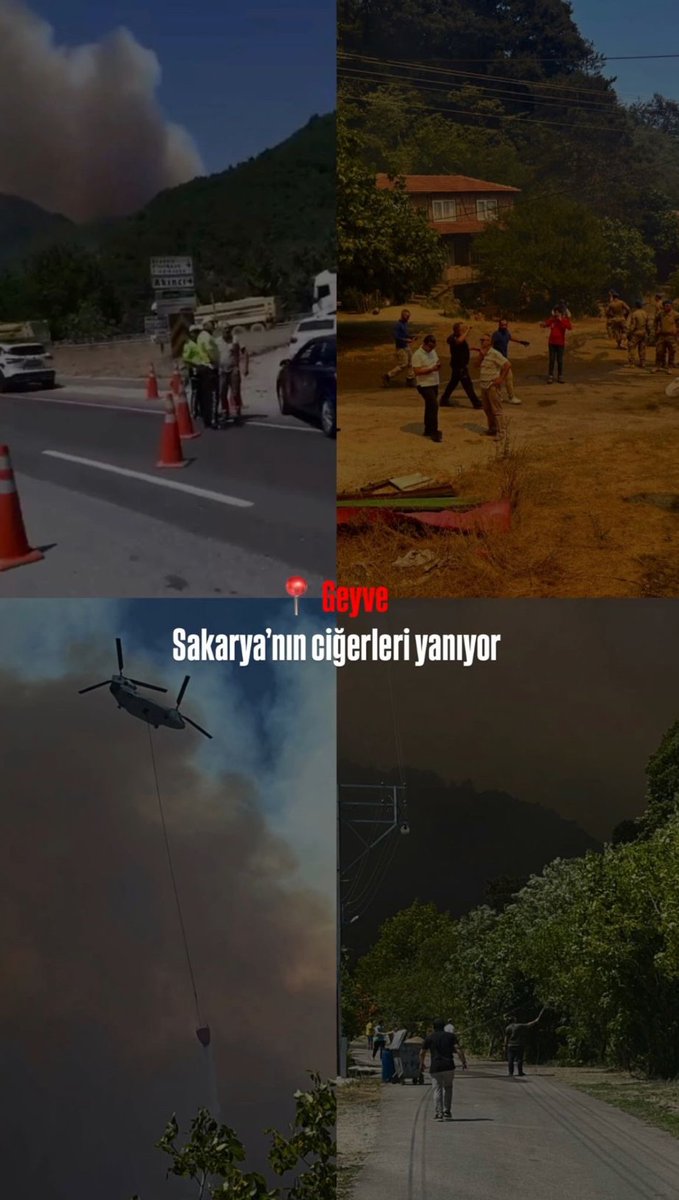 Sakarya yanıyor❗

Geyve Doğançay'da ormanlık alandan dumanlar yükselirken, ekipler bölgeye yönlendirildi.

#sakarya #geyve #ormanyangını