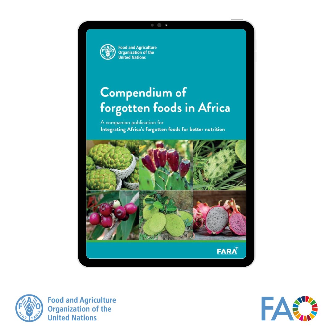 FAOGeneva's tweet image. Rediscover Africa’s #ForgottenCrops and their pivotal role in transforming food systems for sustainable futures.

This @FAO @FARAinfo  compendium shines a light on Indigenous crops crucial for food security and nutrition.

doi.org/10.4060/cc5044…