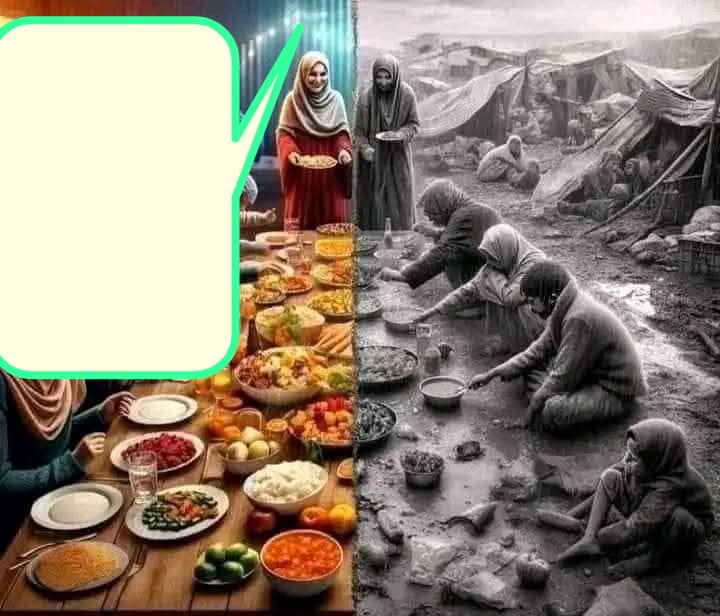 انثرو القمح على رؤوس الجبال حتى لا يقال جاع الطير في بلاد المسلمين 💔🇵🇸
آه لو تدري من جاع اليوم ياعمر 🇵🇸
آللهُم كن لهم عونًا ونصيرًا
آللهُم إنا لا نملك لفلسطين وغزة وأهلها إلا الدعاء فيارب لا ترد لنا دعاء ولا تخيب لنا رجاء وأنت أرحم الراحمين ياااااارب