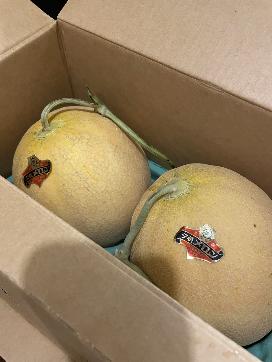 capybara5179's tweet image. 夕張メロンいただきました🍈いつもありがとうございます。