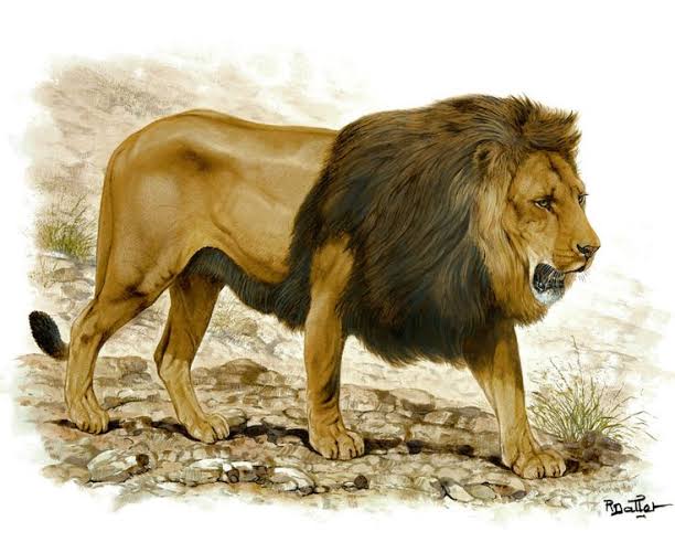 MaelZombie's tweet photo. Seja Bem Vindo Aiolia de Leão 🦁♌

🦁
https://t.co/Vqpihyw9OZ

🦁🌟
https://t.co/QAE4jT8PCd

#MaelZombieYoutube #MaelZombieGameplays #SaintSeiya #Leao #Lion #Zodiac #AioliaDeLeao #LionAiolia #OsCavaleirosdoZodiaco #CDZ #Gamer #Otaku #Anime #Geek #Subscribe #SeInscrevam https://t.co/YXEfrUc0Kd