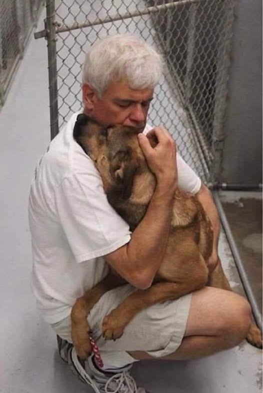 J'ai adopté votre chien aujourd'hui.
Celui que vous avez laissé au refuge.
Celui que vous avez eu pendant 10 ans. Et que vous ne vouliez plus garder.
J'ai adopté votre chien aujourd'hui.
Saviez-vous qu'il avait perdu du poids ?
Saviez-vous qu'il est terrorisé et déprimé ?
Et