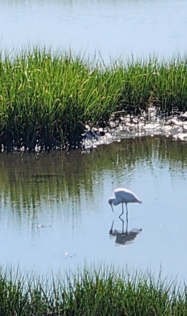 JALange2's tweet image. Good Wednesday morning, you degenerates, weirdos, gamblers, and freaks.
Be the bird and not the fish.