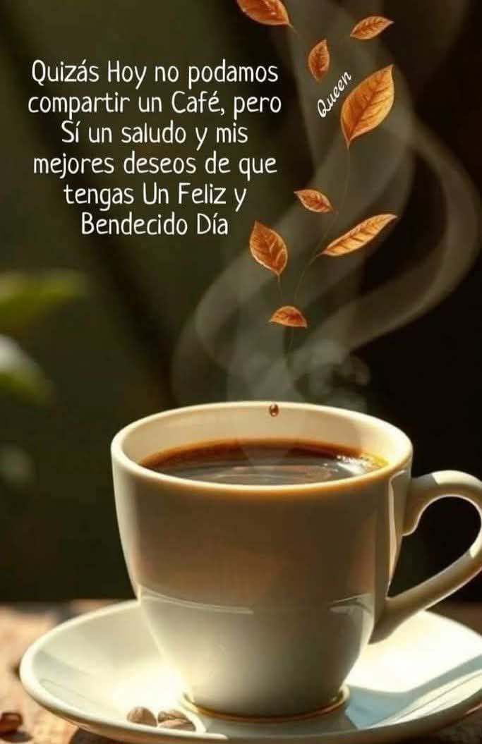 Una mente positiva encuentra oportunidades en todo. Una mente negativa encuentra fallas en todo.

les deseo feliz día 🤗