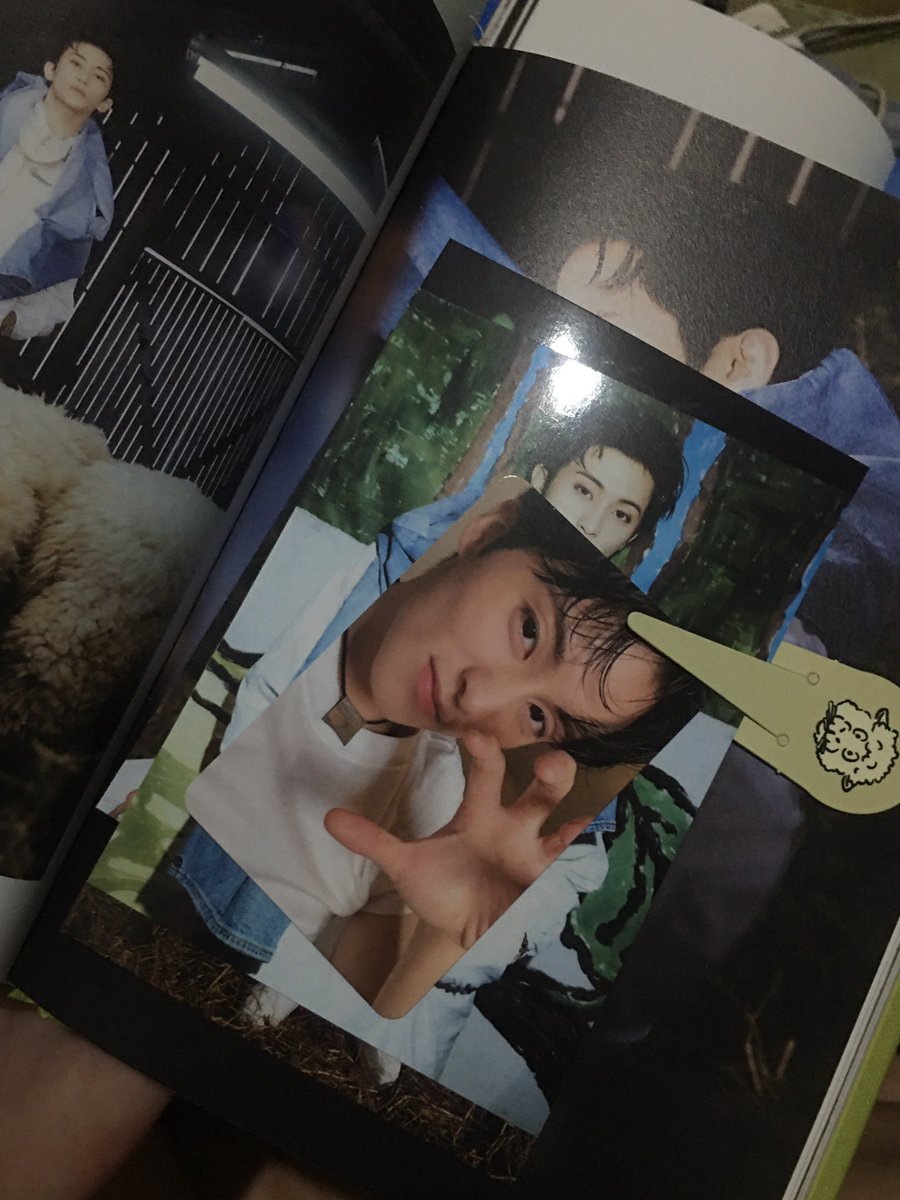 mkleelvr_'s tweet photo. tysm! ❤️ @aeyahavenshop 2 horanghae mark came home 🥰💕 https://t.co/GnwGj1CUou