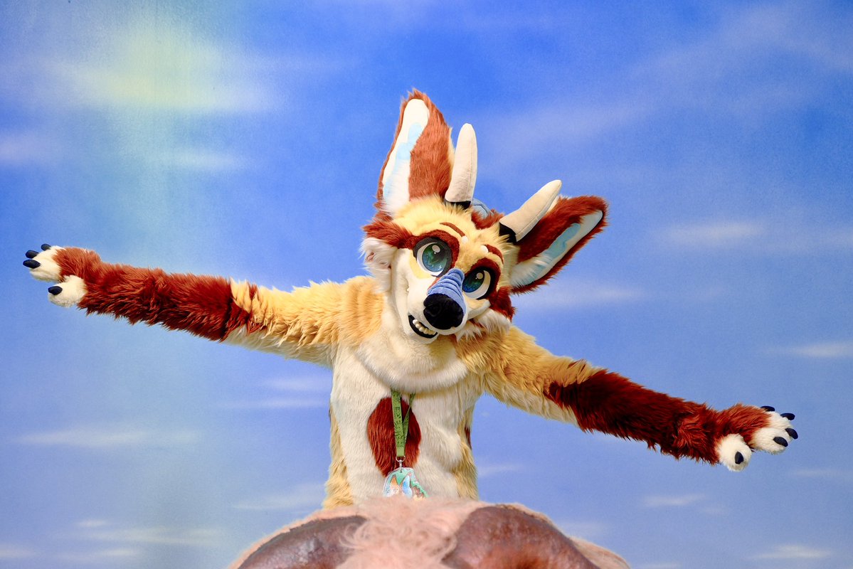 CoVahr_Fox's tweet image. Flying in for Awoostria 🇦🇹
Hopefully see a lot of fluffs soon! Super excited also about tomorrow (I wonder why…)