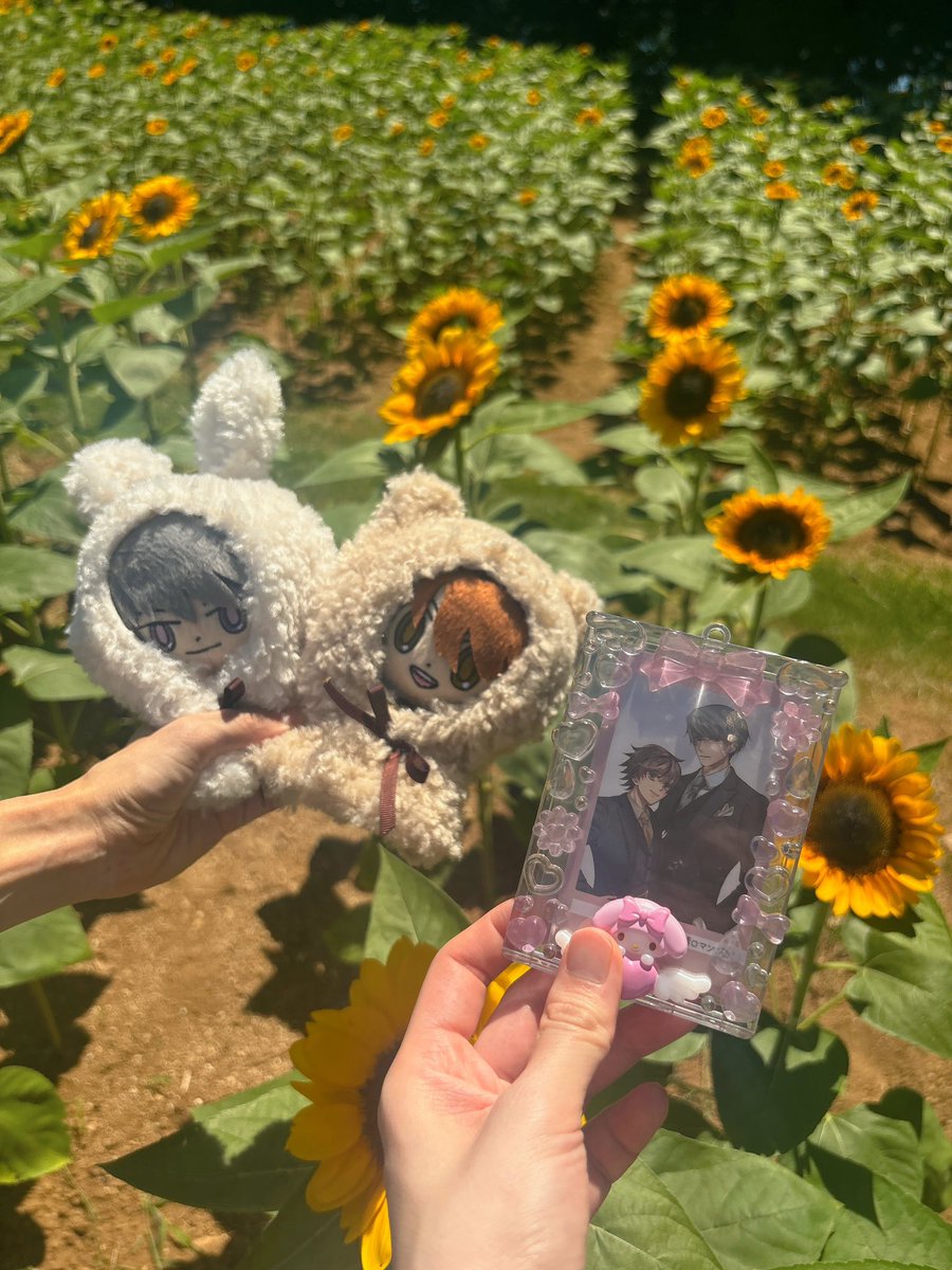 jrumnotk's tweet image. フォロワーさんと遊んで頂いた🥳❣️ウサミサ好きな方とひまわり🌻畑とか駄菓子屋さんとかウサギとの触れ合いとか概念を感じれて最高でした〜😭💕💕