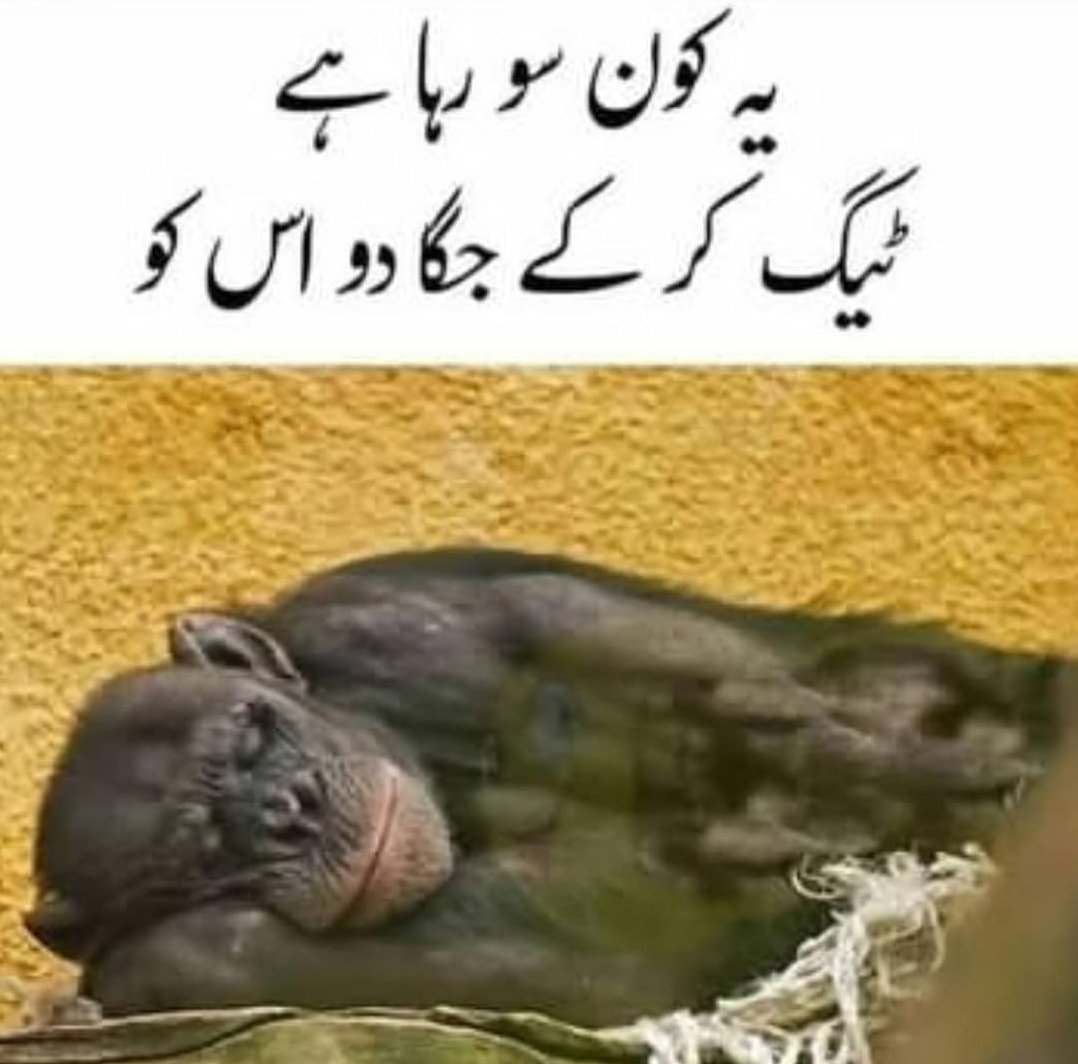 Taimoorch433's tweet image. @ tag krke utha do usko