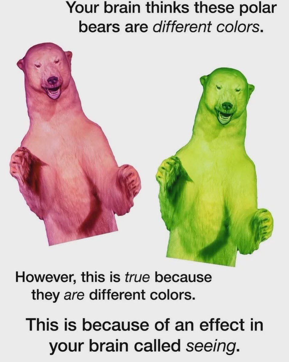KyleLeeWriter's tweet image. 