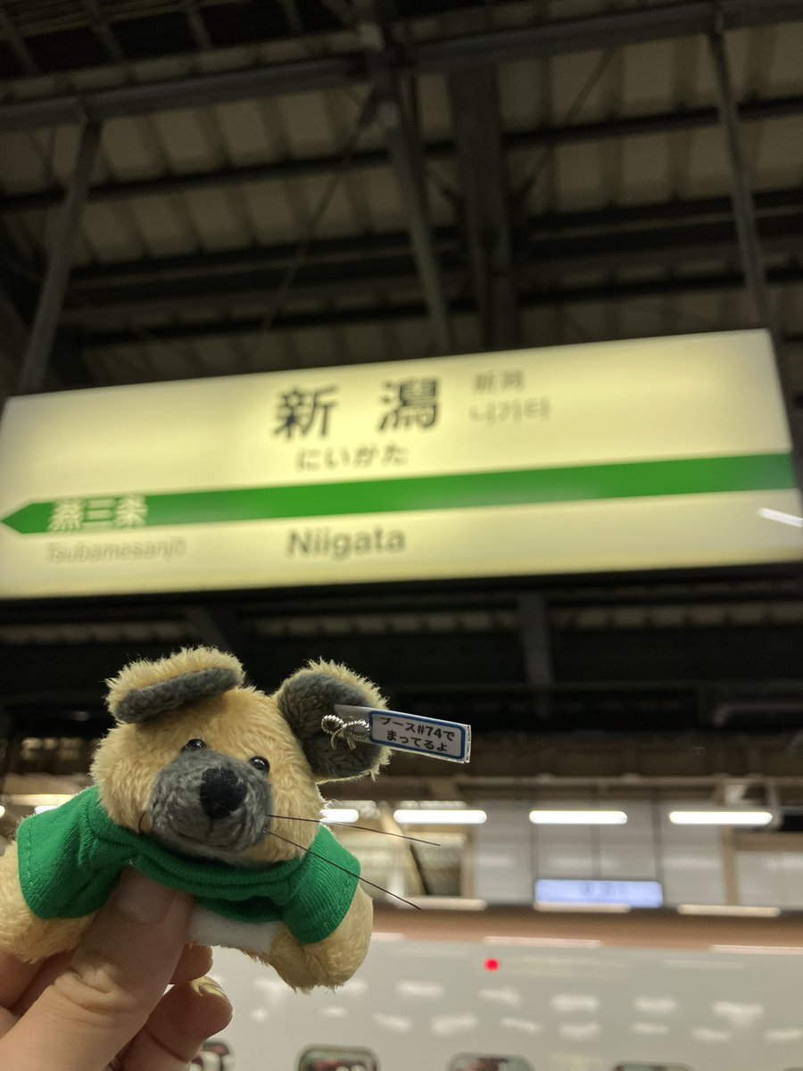 JAX_Japan's tweet photo. 明日より始まる日本神経科学大会に参加すべく、新潟にやってまいりました。夜行性のため、夜移動🌙
明日よりブース#74でお待ちしており🐭今回は、Cre/flox系統の人気度調査をします!使いたい系統がある方は、ぜひお立ち寄りください✨
#第48回日本神経科学大会 #Neuroscience2025 #JAXjapan https://t.co/ppgvEDhMdq