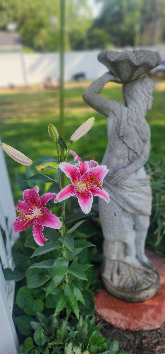 Barbara Gilleece (@barbaraselegant) on Twitter photo Morning views from my garden.
#Luxuryeventplanner
<a href="/Kayhahn1/">K Hahn</a> <a href="/garybryanshow/">Gary Bryan</a> <a href="/RegistryBridges/">Registry Bridges</a> <a href="/cassol_ronnie/">ronnie cassol</a> <a href="/HOLLYJBIRD/">HOLLY BIRD</a> <a href="/Klompsoares/">Rakker</a> <a href="/mistletoeus/">Mistletoe US</a> <a href="/n_sharma19/">N.Sh</a> <a href="/KimSimons2/">Kim Simons</a> <a href="/kosztanadi/">Radio Boom.</a> <a href="/lleweddings/">Kimberly Lehman</a> <a href="/HerdadeFozdaRep/">HFR - Wine Experiences & Memorable Events</a> <a href="/BethFratesMD/">Beth Frates MD</a> <a href="/ebeno22/">Elaine Beno</a> <a href="/tumblin_sam/">S. T.</a> Morning views from my garden.
#Luxuryeventplanner
<a href="/Kayhahn1/">K Hahn</a> <a href="/garybryanshow/">Gary Bryan</a> <a href="/RegistryBridges/">Registry Bridges</a> <a href="/cassol_ronnie/">ronnie cassol</a> <a href="/HOLLYJBIRD/">HOLLY BIRD</a> <a href="/Klompsoares/">Rakker</a> <a href="/mistletoeus/">Mistletoe US</a> <a href="/n_sharma19/">N.Sh</a> <a href="/KimSimons2/">Kim Simons</a> <a href="/kosztanadi/">Radio Boom.</a> <a href="/lleweddings/">Kimberly Lehman</a> <a href="/HerdadeFozdaRep/">HFR - Wine Experiences & Memorable Events</a> <a href="/BethFratesMD/">Beth Frates MD</a> <a href="/ebeno22/">Elaine Beno</a> <a href="/tumblin_sam/">S. T.</a>