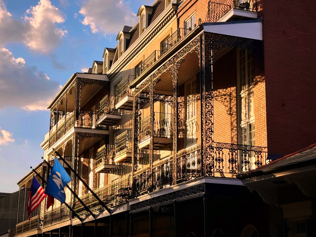 DavidMora's tweet image. That golden light! ✨⚜️

#NewOrleans